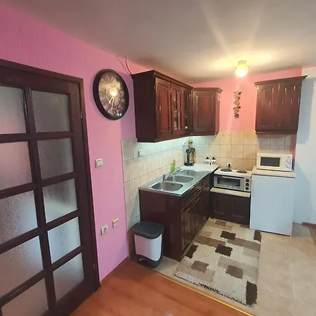 Apartments Milena Zlatibor Room photo