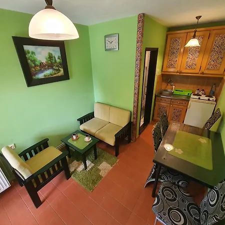 Apartments Milena Zlatibor Room photo