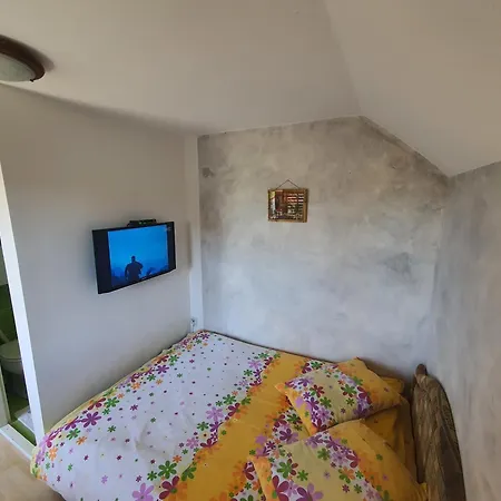 Apartments Milena Zlatibor Room photo